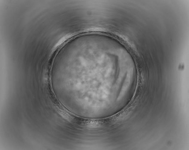 X0000090911266200708131405