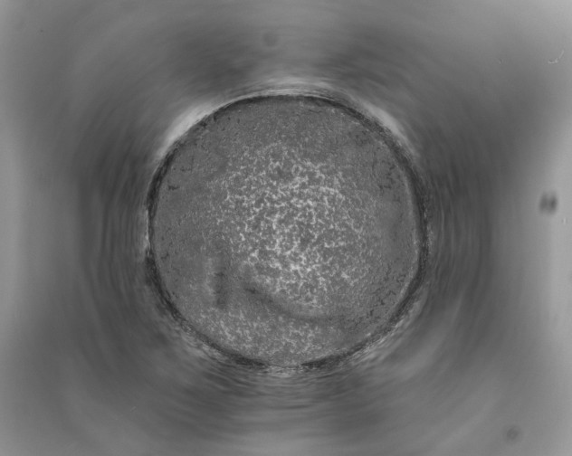 X0000090911267200708131405