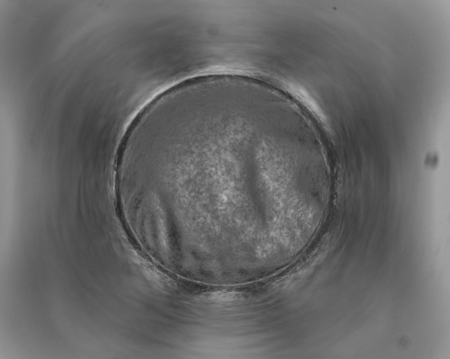 X0000090911268200708131405