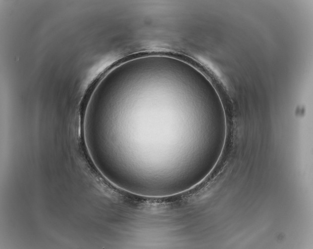 X0000090911269200708131405