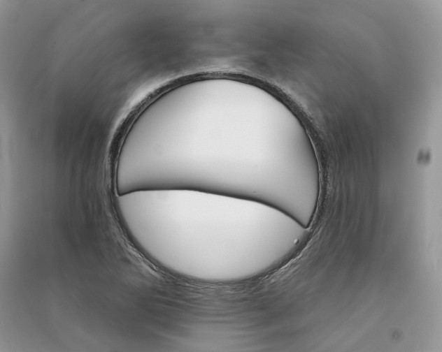 X0000090911270200708131405