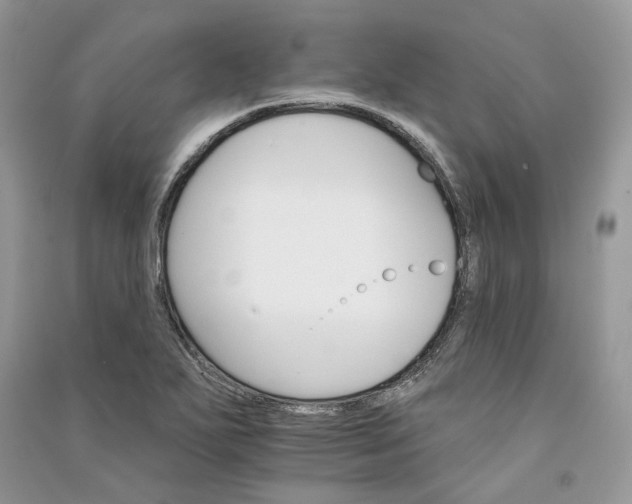 X0000090911271200708131405