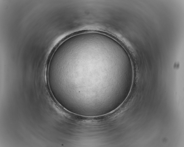 X0000090911272200708131405