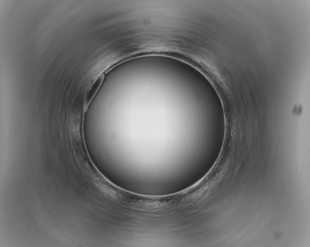 X0000090911273200708131405