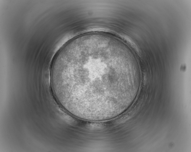 X0000090911274200708131405