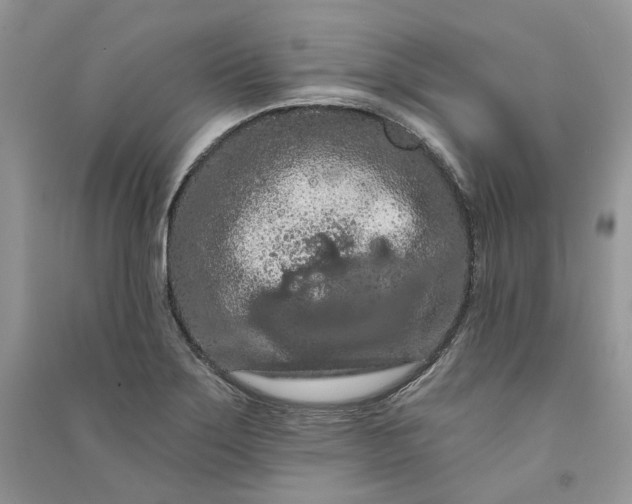 X0000090911275200708131405