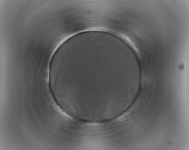 X0000090911276200708131405