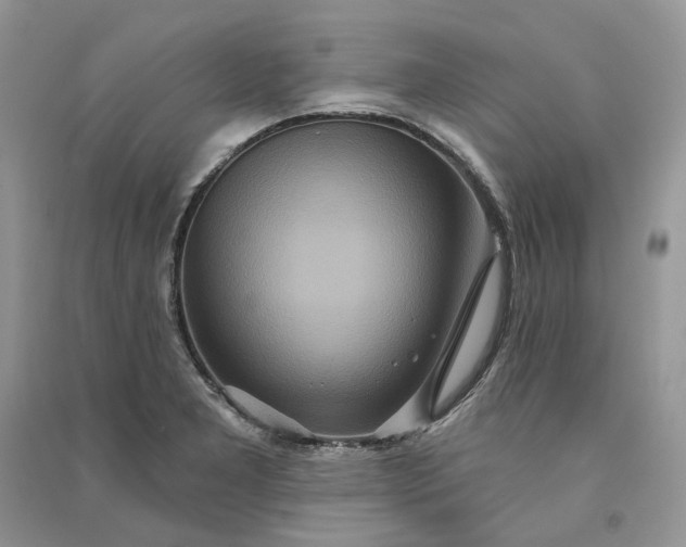 X0000090911277200708131405