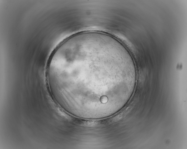 X0000090911278200708131405