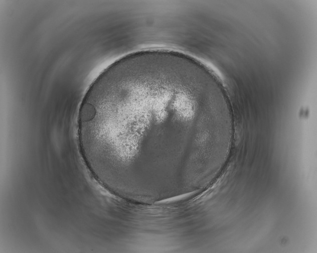 X0000090911279200708131405