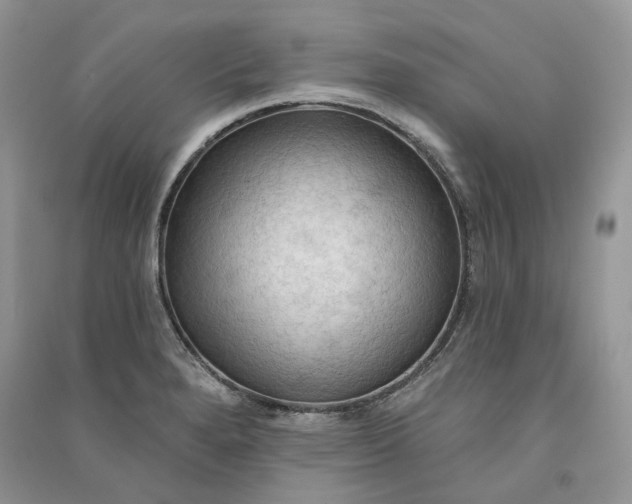 X0000090911280200708131405