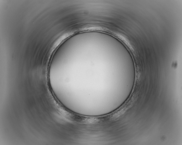 X0000090911282200708131405