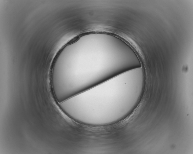 X0000090911285200708131405