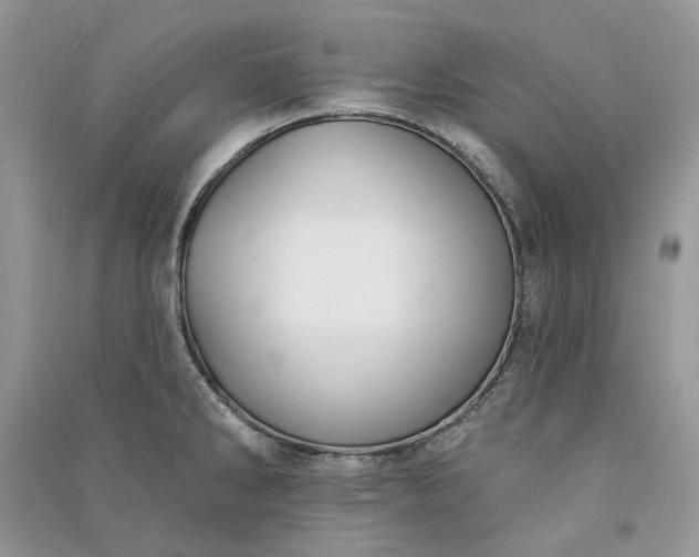 X0000090911286200708131405