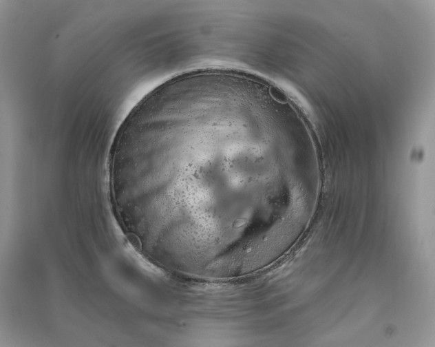 X0000090911287200708131405