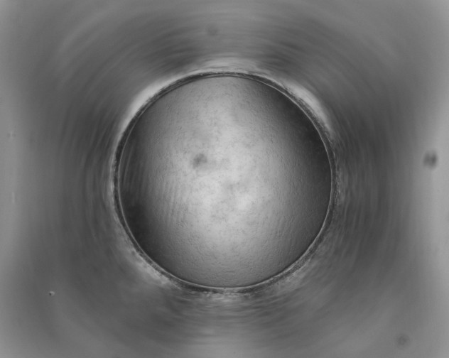 X0000090911288200708131405