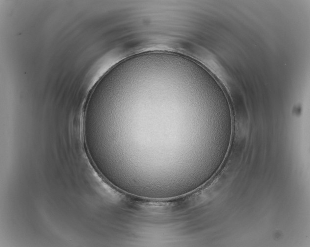 X0000090911290200708131405