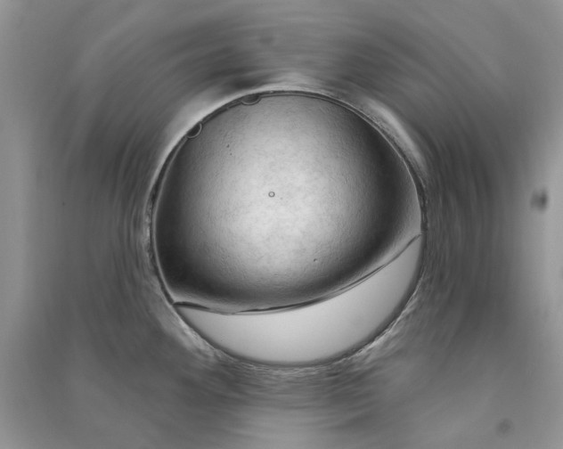 X0000090911292200708131405