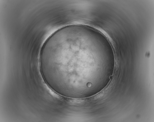 X0000090911294200708131405