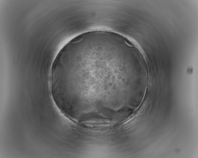 X0000090911295200708131405