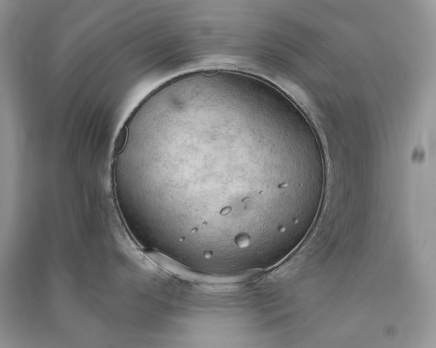 X0000090911296200708131405