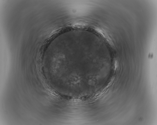 X0000090911297200708131404