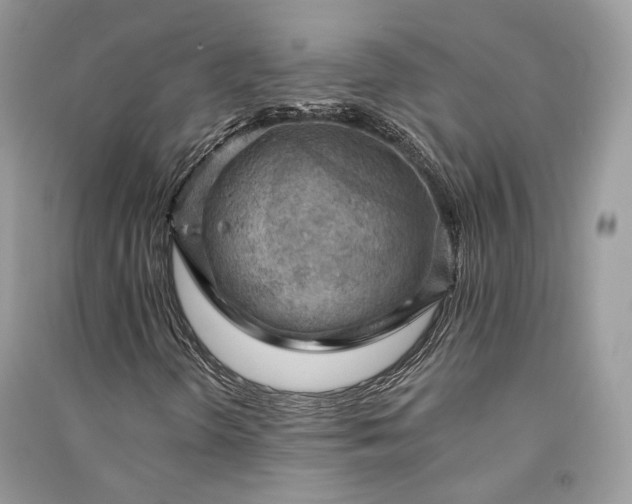 X0000090911298200708131404