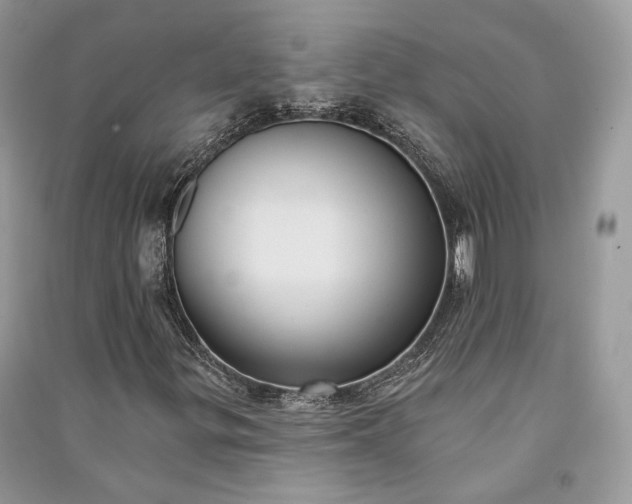 X0000090911299200708131404