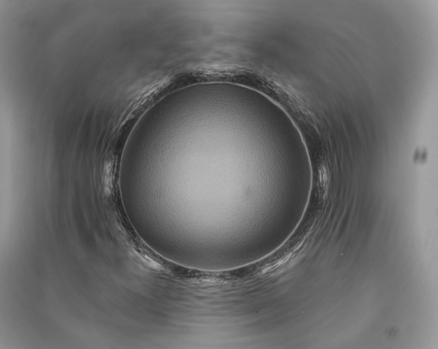 X0000090911300200708131404