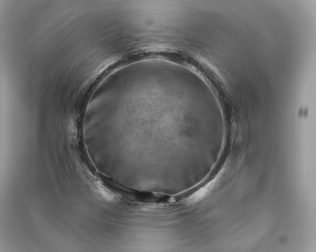 X0000090911305200708131404