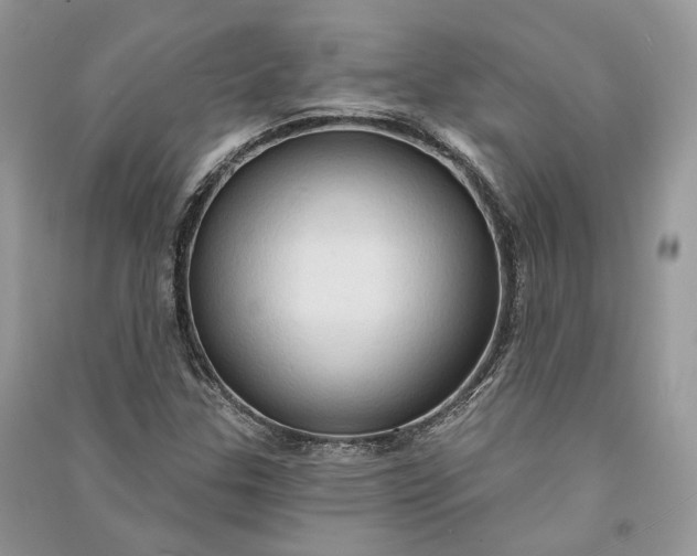 X0000090911307200708131404