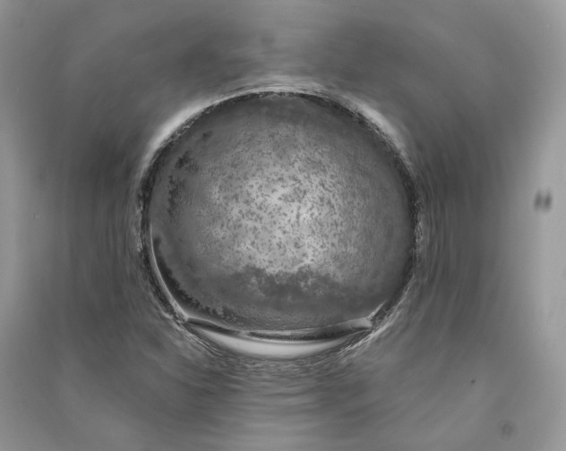 X0000090911310200708131404