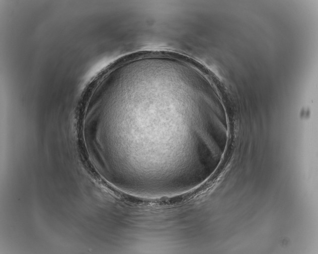 X0000090911311200708131404