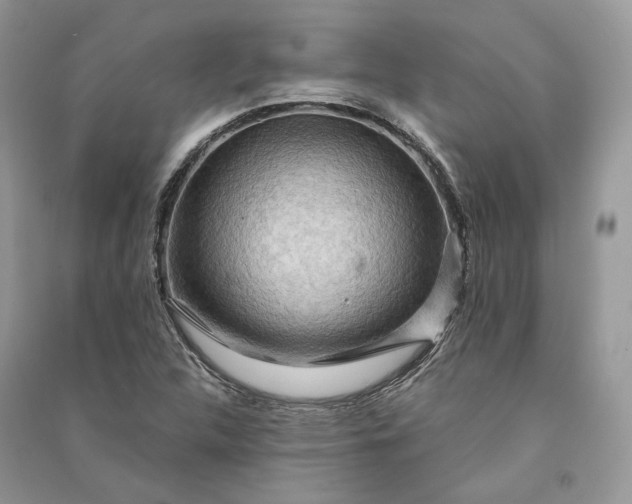 X0000090911312200708131404