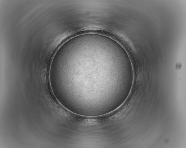 X0000090911313200708131404