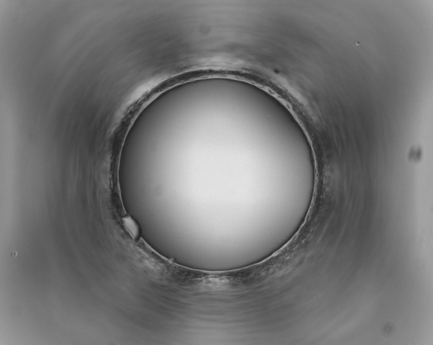 X0000090911315200708131404