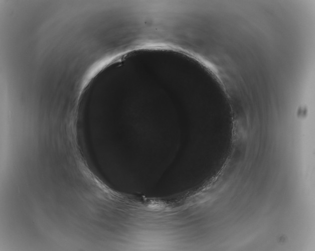 X0000090911319200708131404