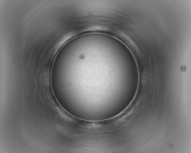 X0000090911321200708131404