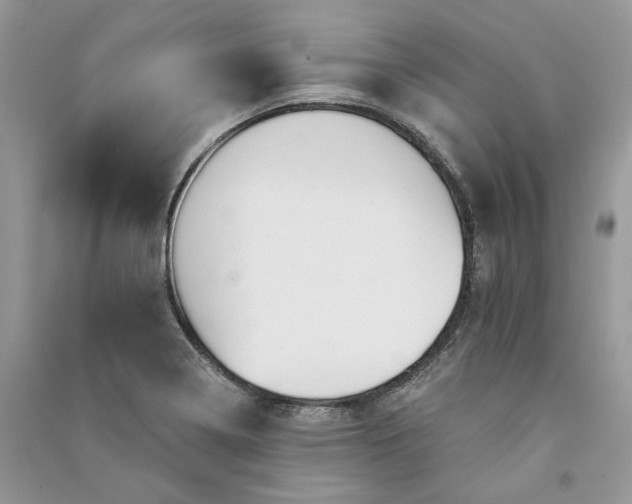 X0000090911322200708131404