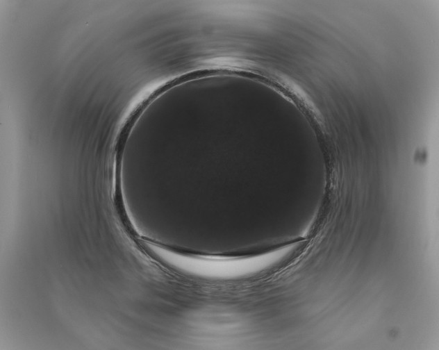 X0000090911323200708131404