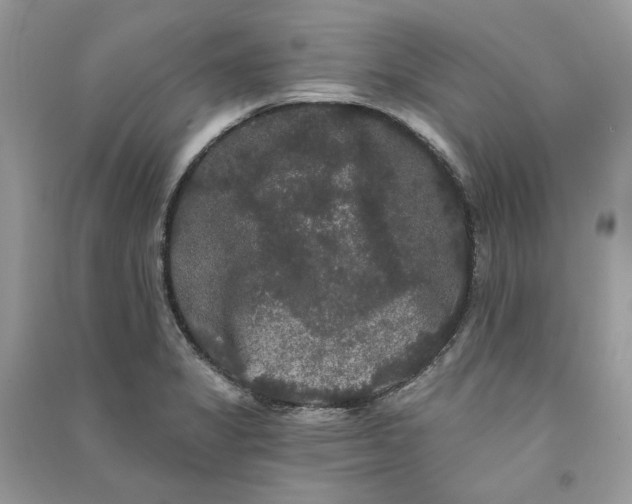 X0000090911325200708131404