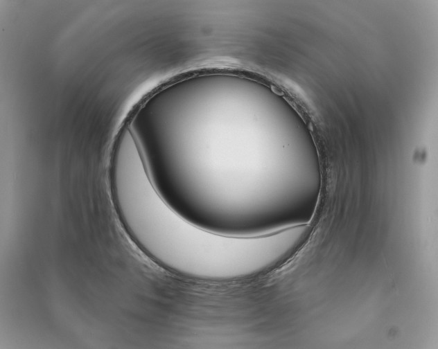 X0000090911326200708131404