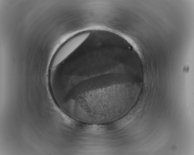 X0000090911327200708131404