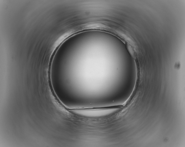 X0000090911330200708131405