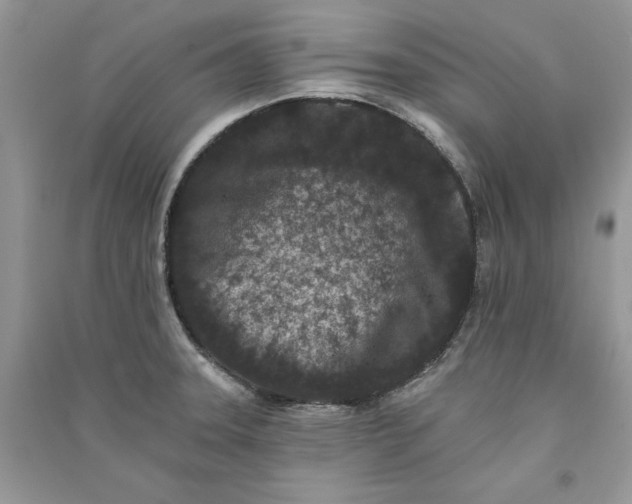 X0000090911331200708131405