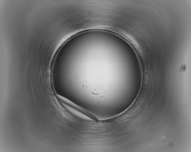 X0000090911332200708131405