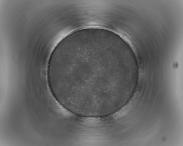 X0000090911333200708131405