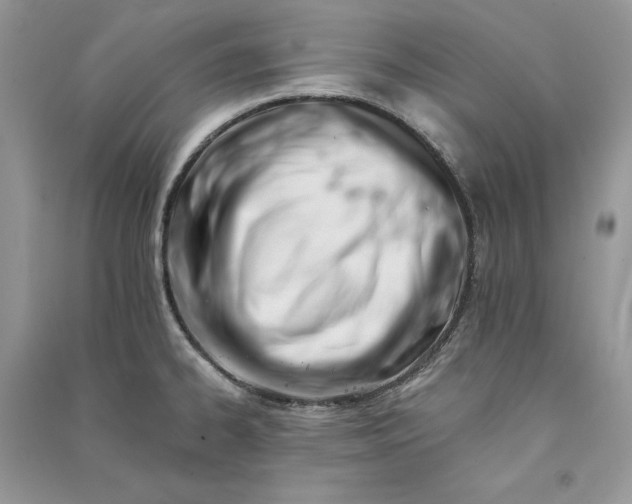 X0000090911334200708131405