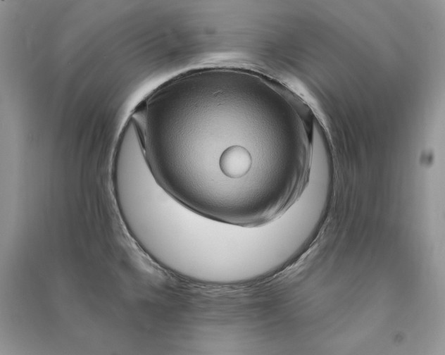 X0000090911336200708131405