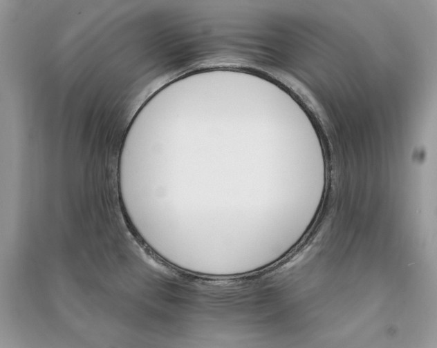 X0000090911337200708131405